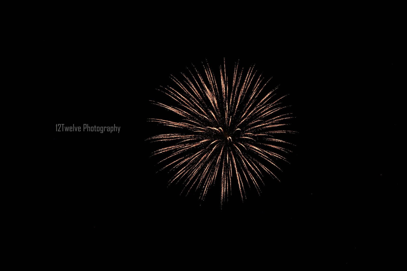 Treeline FireWorks 