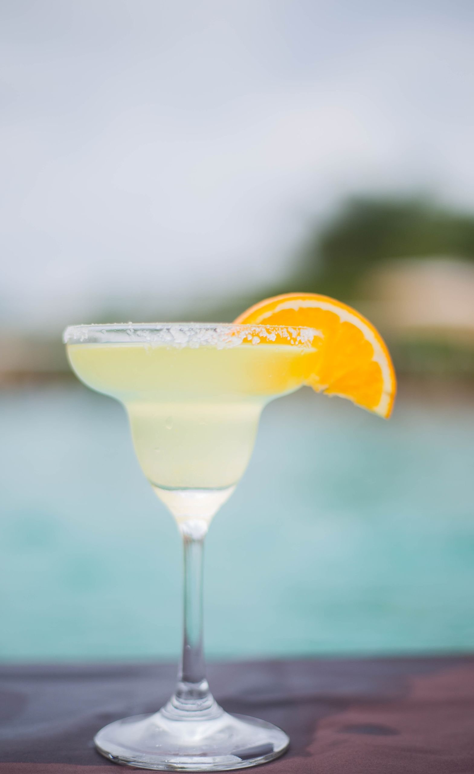 Margarita Festival