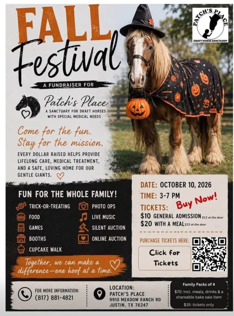 Patch's Place 2nd Annual Fall Festival