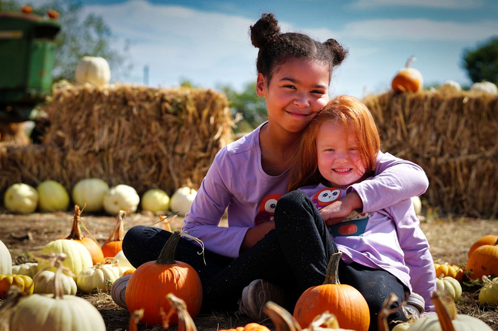 Fall- Image by Brett Sly